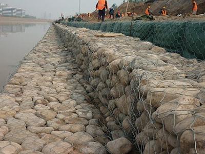 高爾凡雷諾護(hù)墊