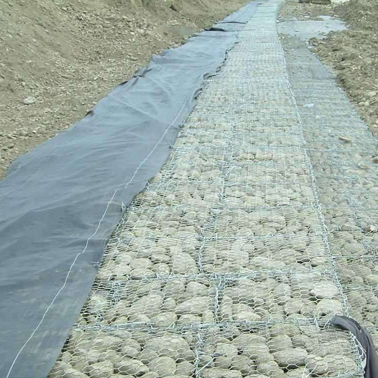 雷諾護墊生態防護作用的明顯效果