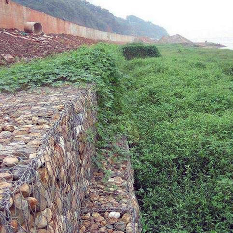 格賓網(wǎng)擋墻的生態(tài)保護(hù)特點(diǎn)