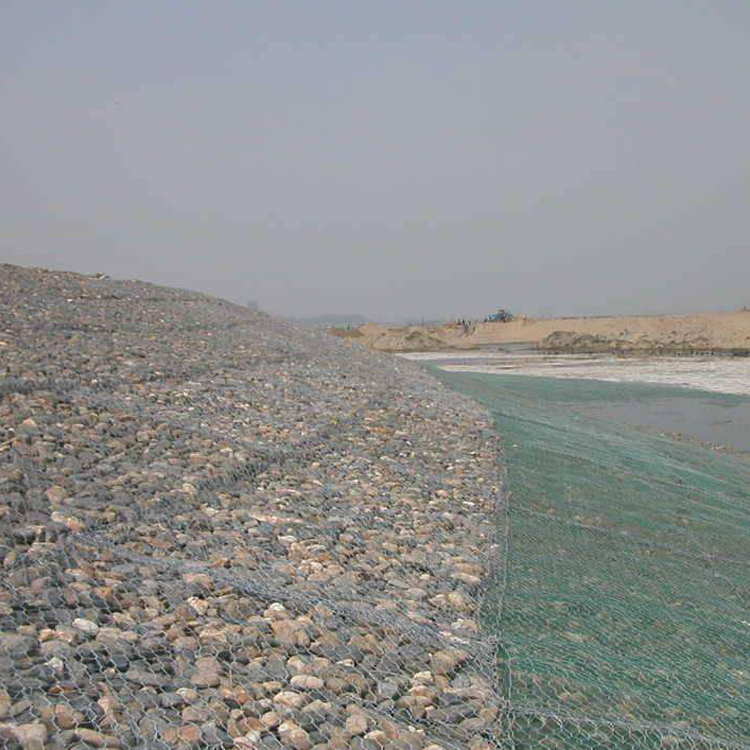 護坡格賓網自然生態生物結構特點 護坡格賓網自然生態生物結構特點